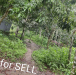 Land Sell At Low Price